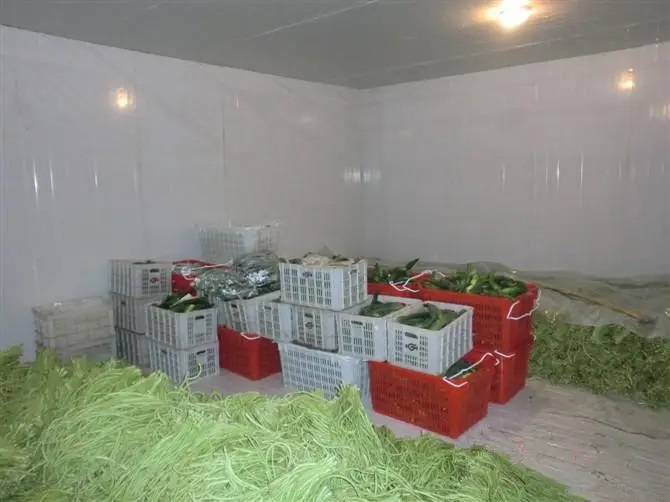0~5℃蔬菜保鲜冷库安装造价多少钱一平方